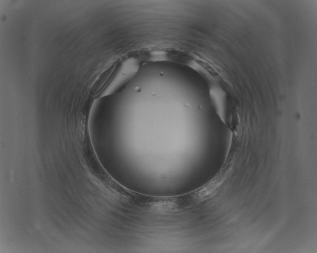 X0000073700168200608171122