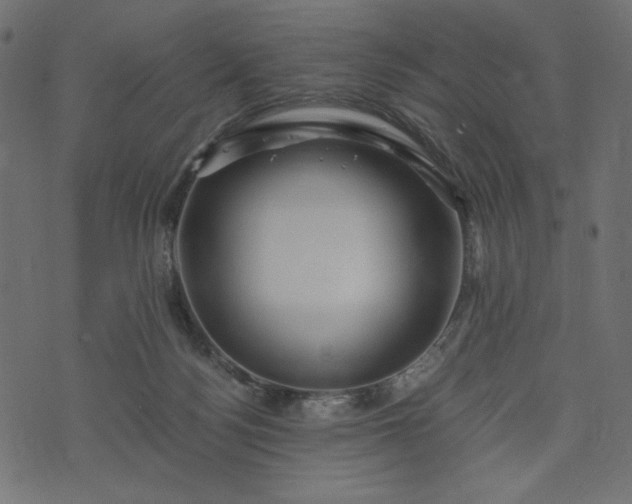 X0000073700172200608171122