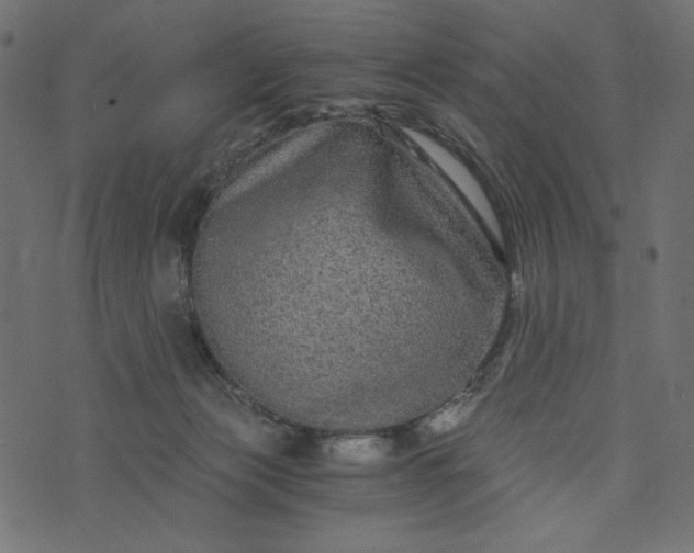 X0000073700173200608171122