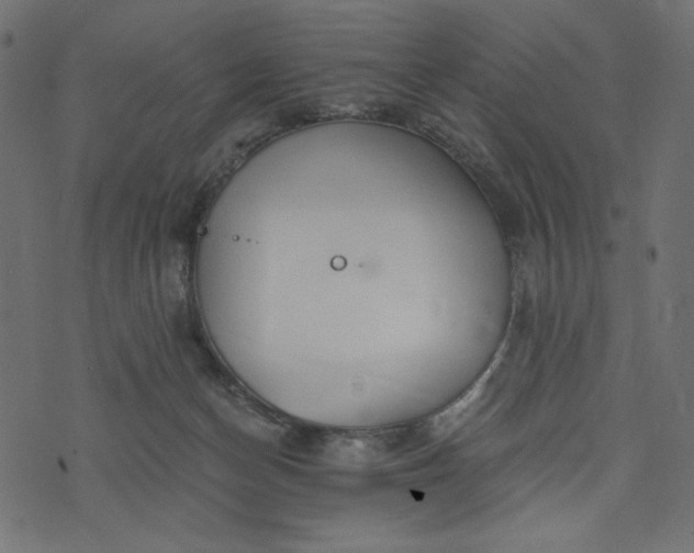 X0000073700174200608171122