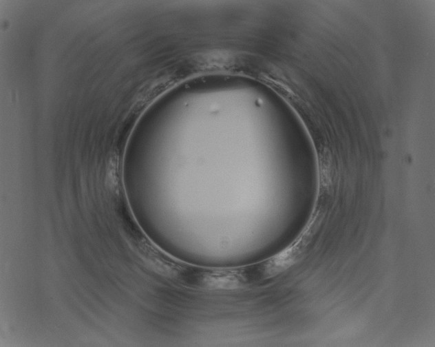 X0000073700175200608171122