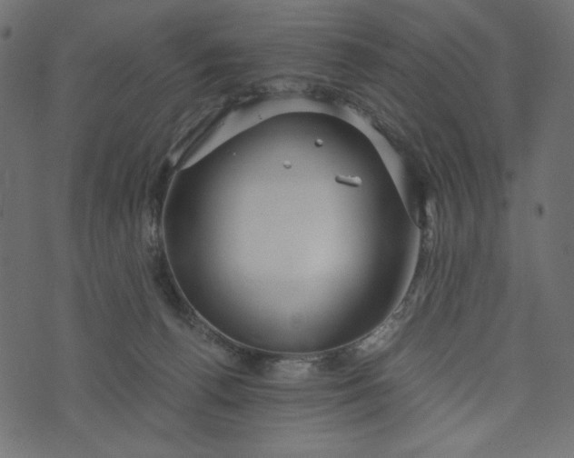 X0000073700176200608171122