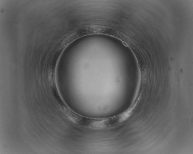 X0000073700178200608171122