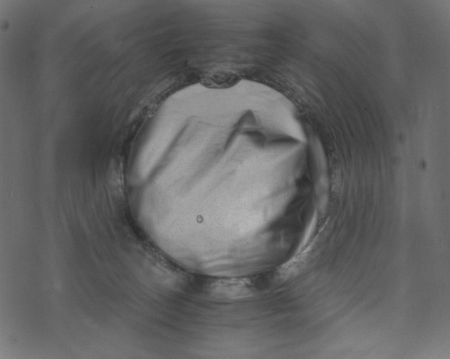 X0000073700179200608171122