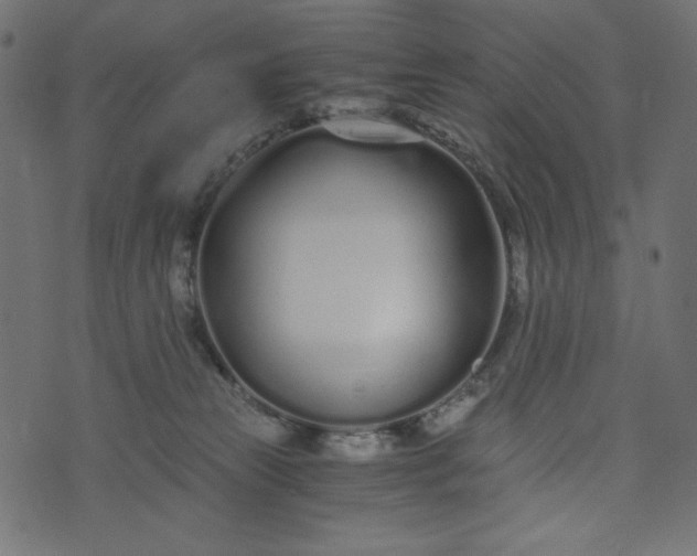 X0000073700181200608171122