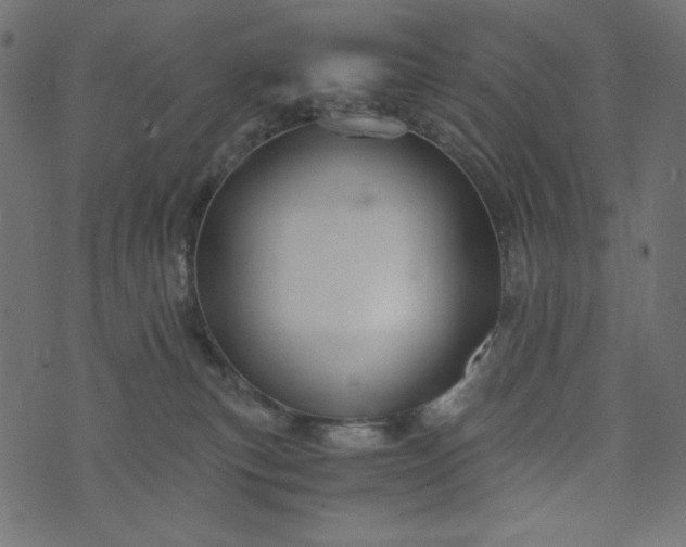 X0000073700183200608171122