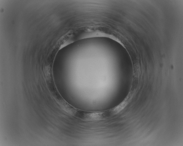 X0000073700184200608171122