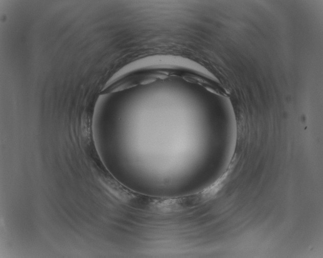 X0000073700186200608171122