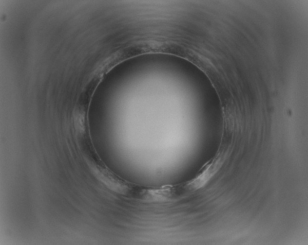 X0000073700188200608171122