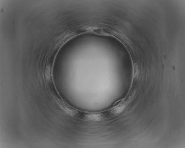 X0000073700189200608171122