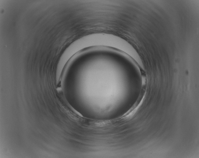 X0000073700190200608171122