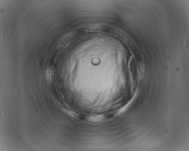 X0000073700191200608171122