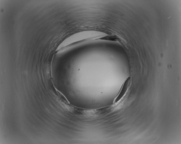 X0000073700192200608171122