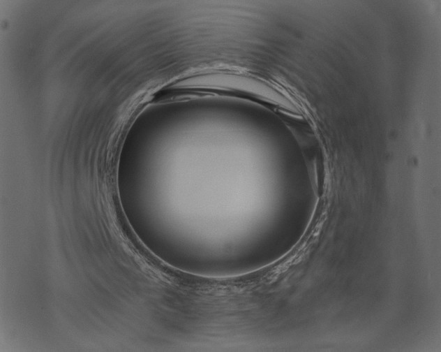 X0000073700193200608171121