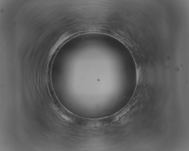 X0000073700195200608171121