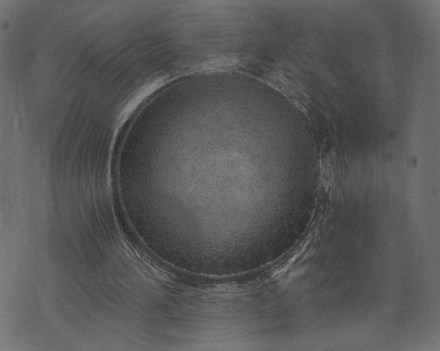 X0000073700196200608171121