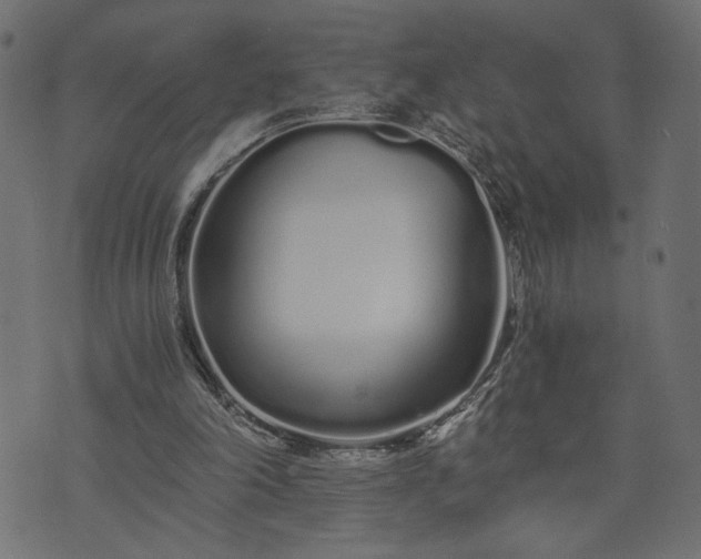 X0000073700198200608171121