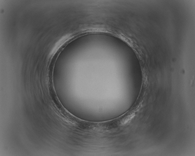 X0000073700199200608171121