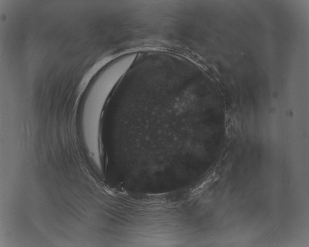 X0000073700200200608171121