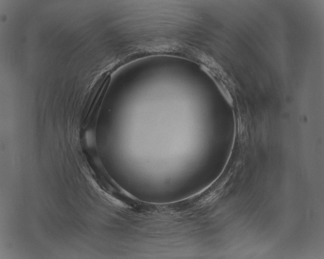 X0000073700201200608171121