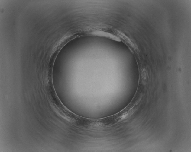 X0000073700203200608171121