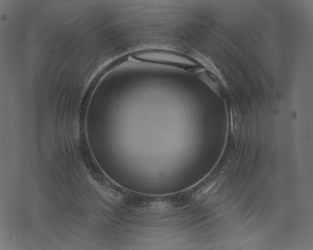 X0000073700204200608171121