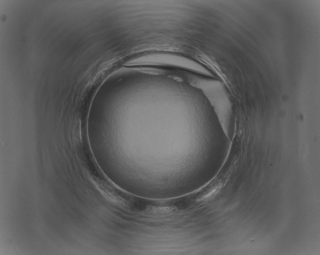 X0000073700205200608171121