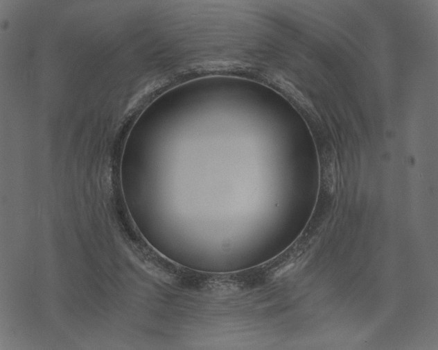 X0000073700207200608171121