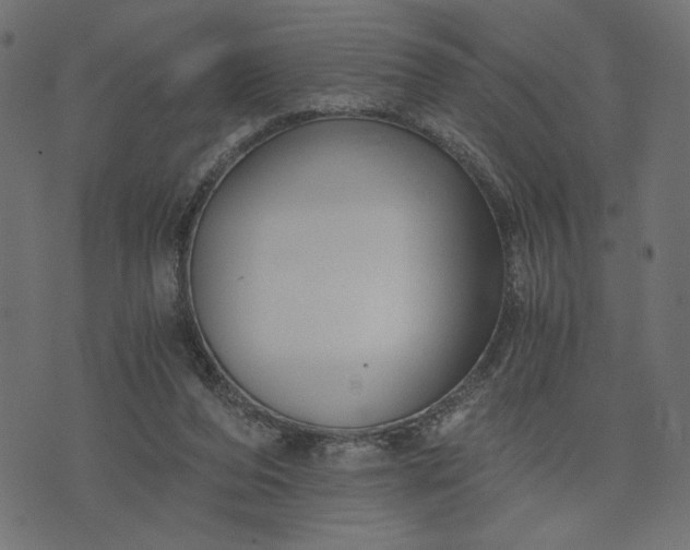 X0000073700208200608171121