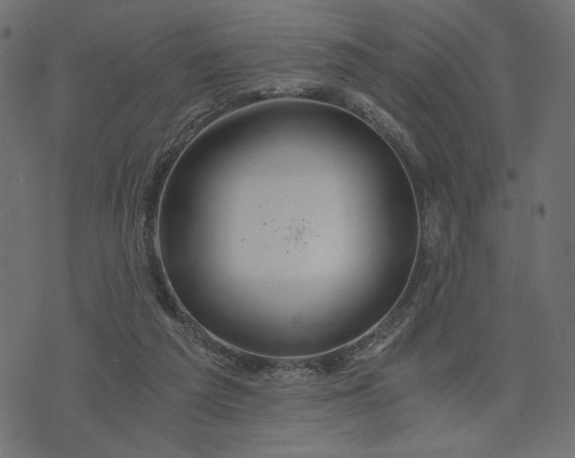 X0000073700209200608171121