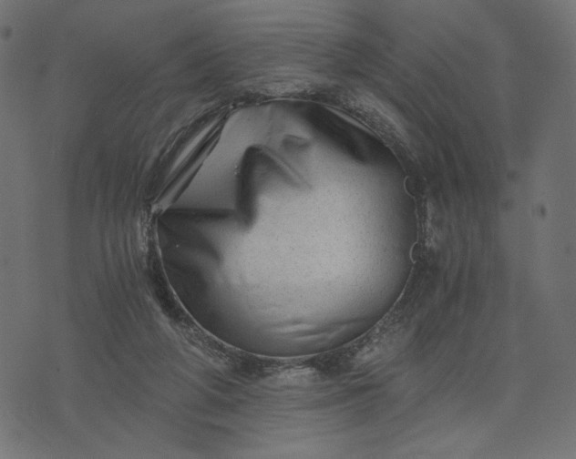 X0000073700210200608171121