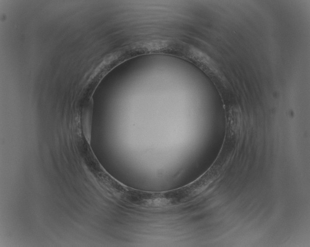 X0000073700212200608171121