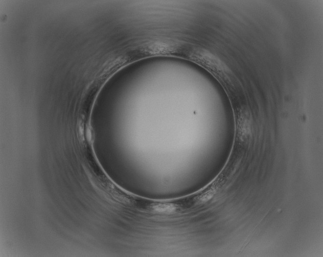 X0000073700214200608171121