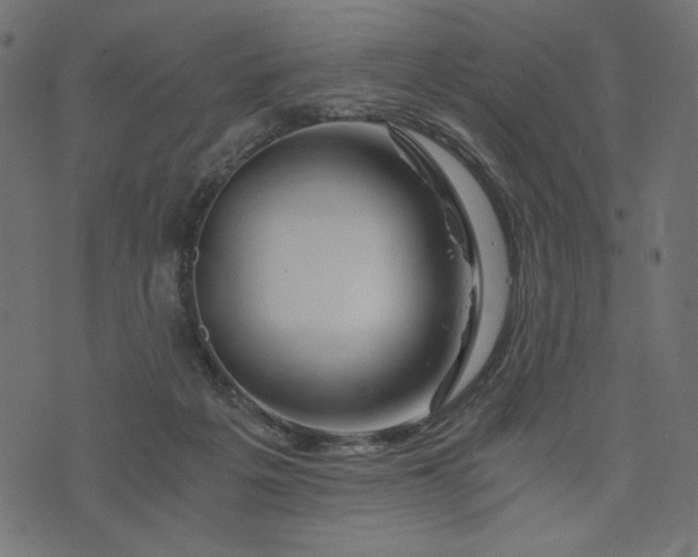 X0000073700217200608171121