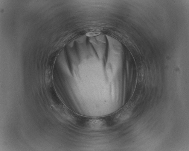 X0000073700218200608171121