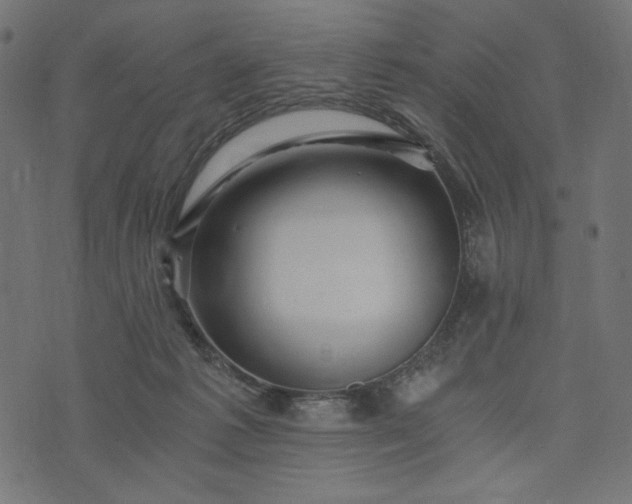 X0000073700221200608171121