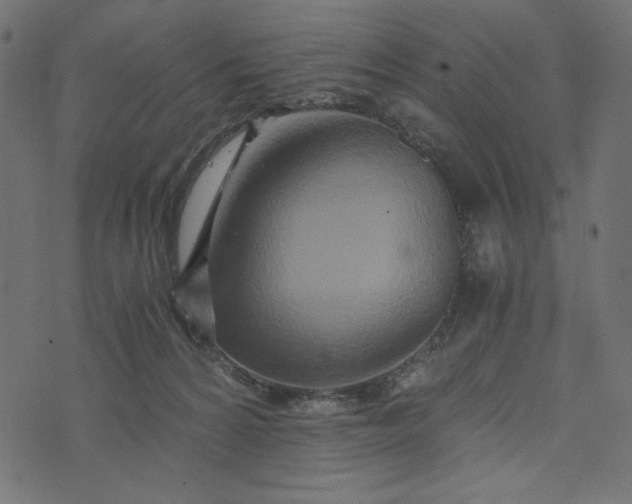 X0000073700224200608171121