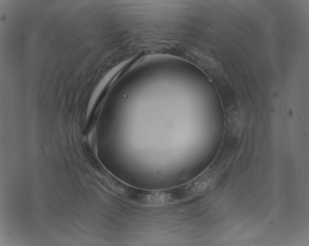 X0000073700225200608171121