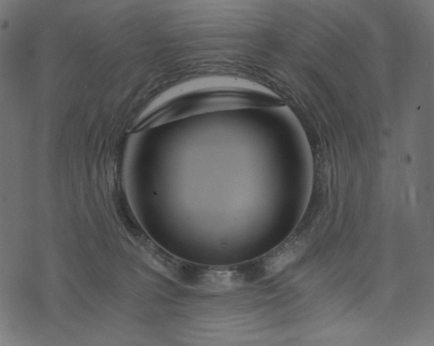 X0000073700227200608171121