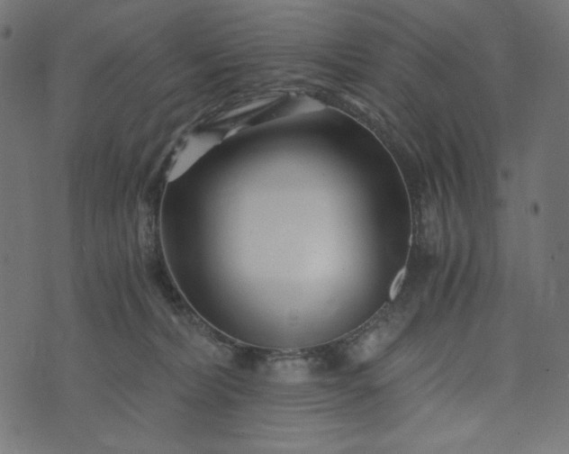 X0000073700228200608171121