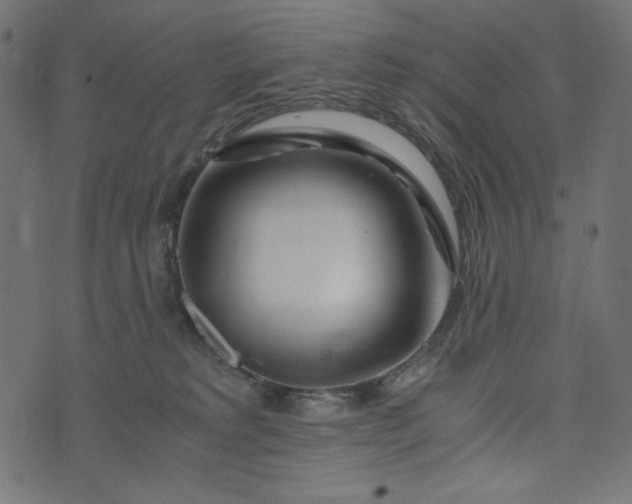 X0000073700229200608171121