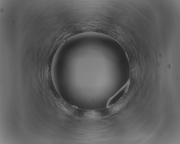 X0000073700231200608171121