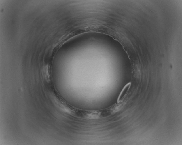 X0000073700232200608171121