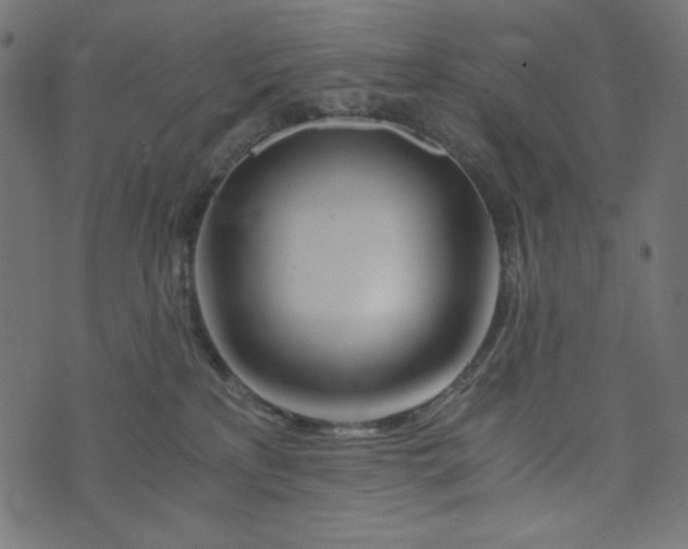 X0000073700233200608171121