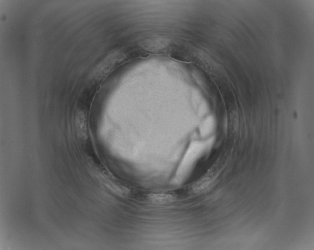 X0000073700234200608171121