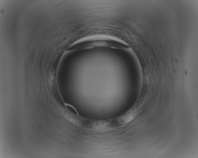 X0000073700235200608171121