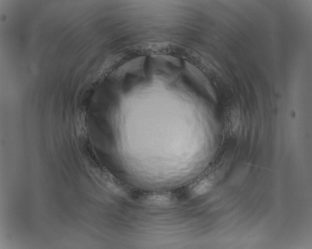 X0000073700236200608171121