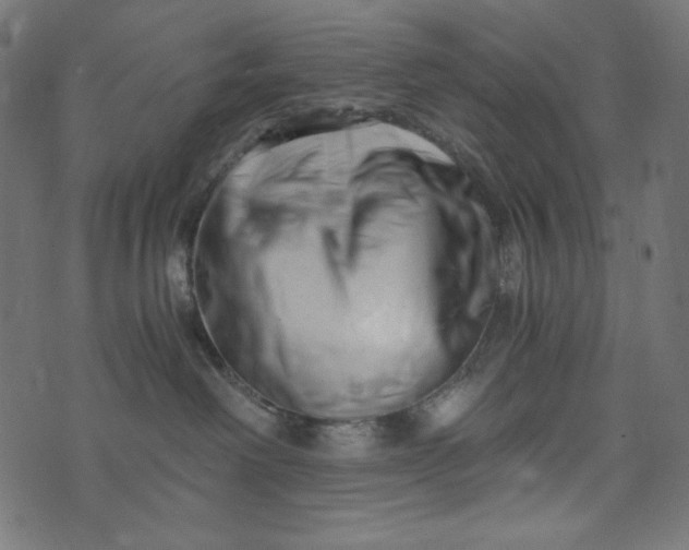 X0000073700238200608171121