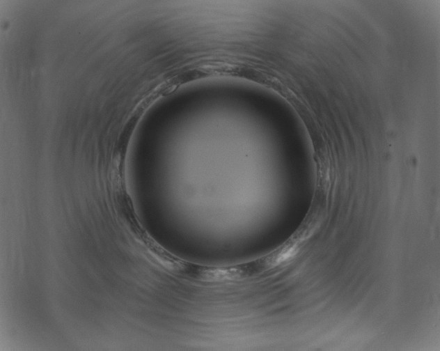 X0000073700239200608171121