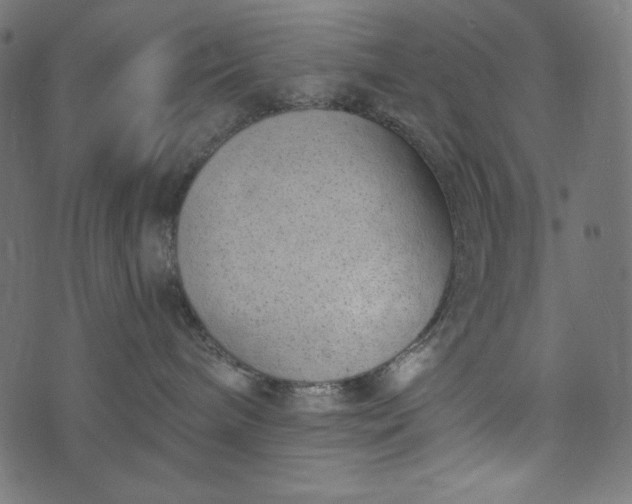 X0000073700240200608171121